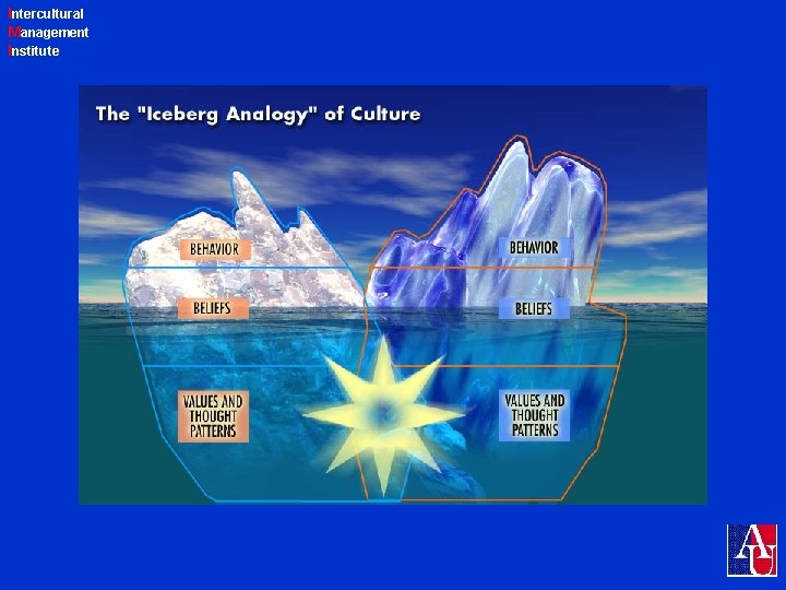 Intercultural Management Institute 