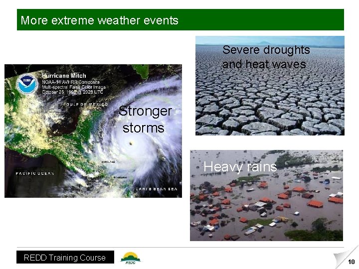 More extreme weather events Severe droughts and heat waves Stronger storms Heavy rains REDD