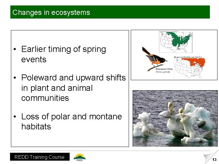 Changes in ecosystems • Earlier timing of spring events • Poleward and upward shifts