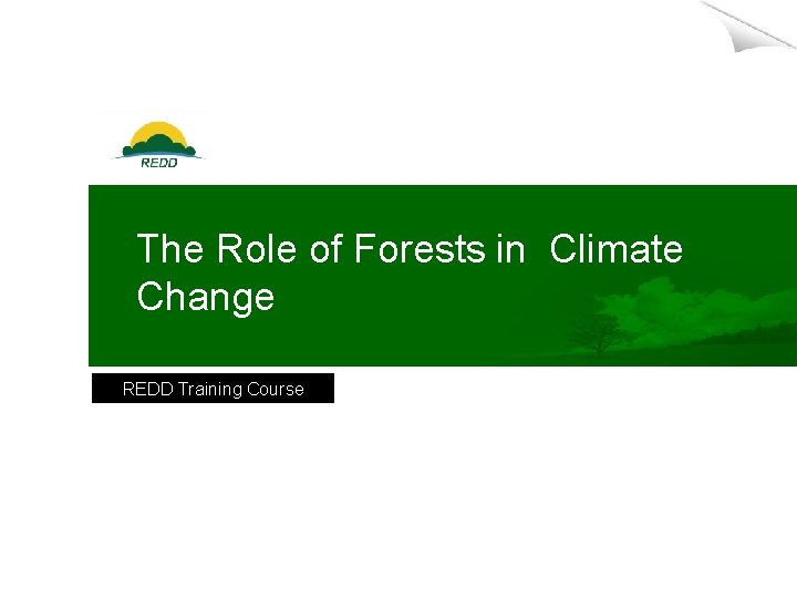 The Role of Forests in Climate Change REDD Training Course 