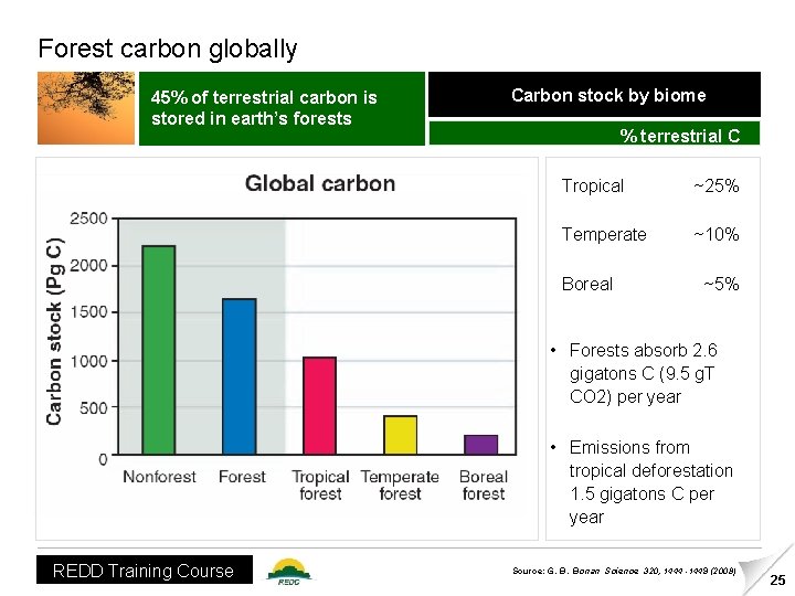 Forest carbon globally 45% of terrestrial carbon is stored in earth’s forests Carbon stock