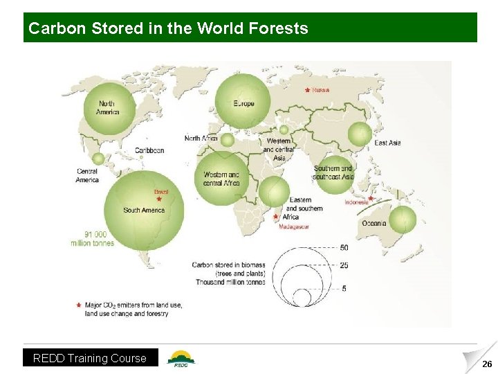Carbon Stored in the World Forests REDD Training Course 26 
