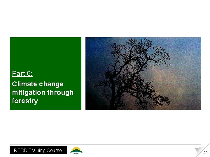 Part 6: Climate change mitigation through forestry REDD Training Course 28 