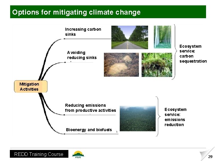 Options for mitigating climate change Increasing carbon sinks Avoiding reducing sinks Ecosystem service: carbon