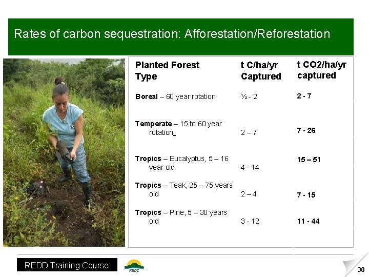 Rates of carbon sequestration: Afforestation/Reforestation REDD Training Course Planted Forest Type t C/ha/yr Captured