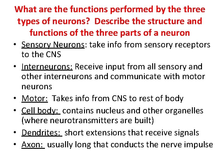 What are the functions performed by the three types of neurons? Describe the structure