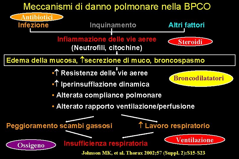 Meccanismi di danno polmonare nella BPCO Antibiotici Infezione Inquinamento Altri fattori Infiammazione delle vie