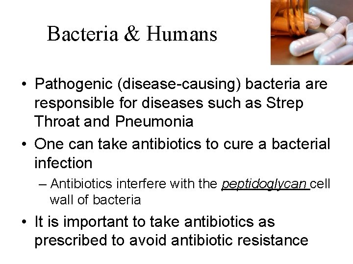 Bacteria & Humans • Pathogenic (disease-causing) bacteria are responsible for diseases such as Strep