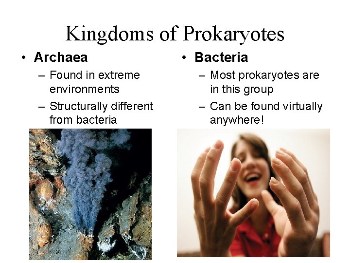 Kingdoms of Prokaryotes • Archaea – Found in extreme environments – Structurally different from