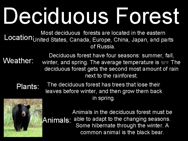 Deciduous Forest Most deciduous forests are located in the eastern Location: United States, Canada,