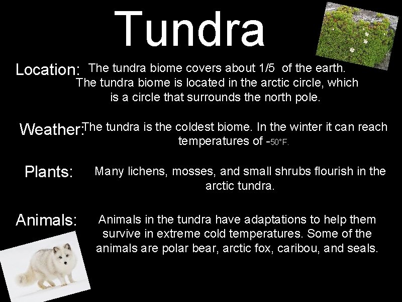 Tundra Location: The tundra biome covers about 1/5 of the earth. The tundra biome