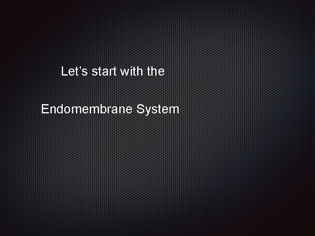 Let’s start with the Endomembrane System 