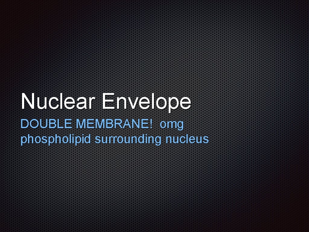 Nuclear Envelope DOUBLE MEMBRANE! omg phospholipid surrounding nucleus 