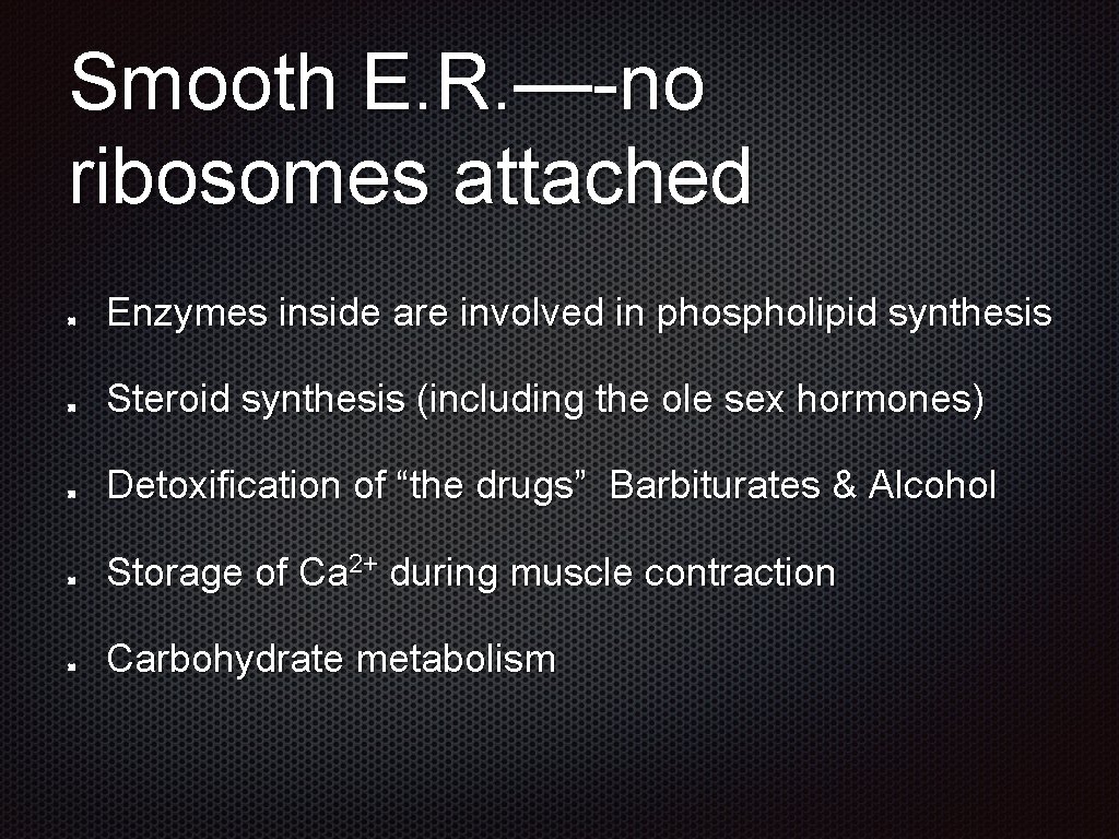 Smooth E. R. —-no ribosomes attached Enzymes inside are involved in phospholipid synthesis Steroid