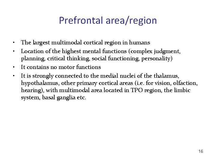 Prefrontal area/region • • The largest multimodal cortical region in humans Location of the
