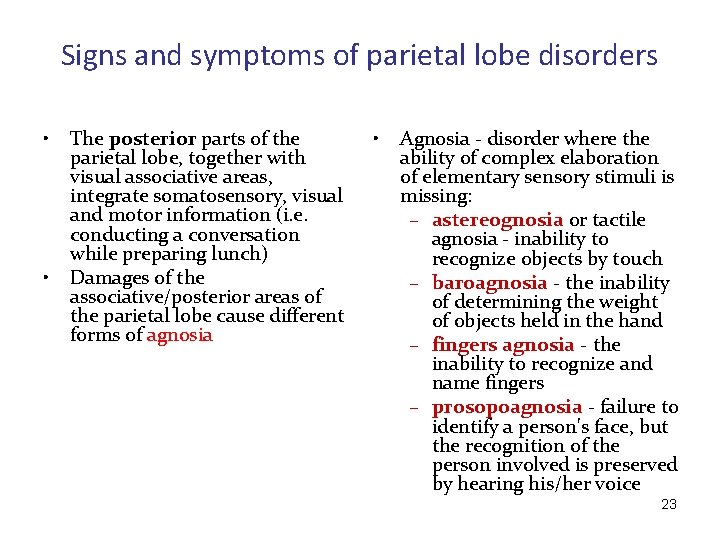 Signs and symptoms of parietal lobe disorders • • The posterior parts of the
