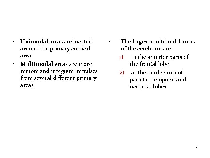  • • Unimodal areas are located around the primary cortical area Multimodal areas