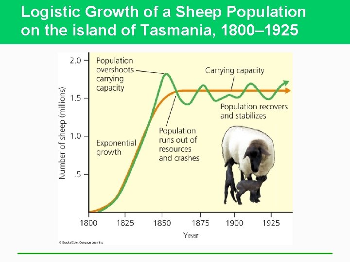 Logistic Growth of a Sheep Population on the island of Tasmania, 1800– 1925 