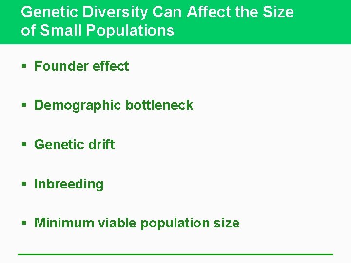 Genetic Diversity Can Affect the Size of Small Populations § Founder effect § Demographic