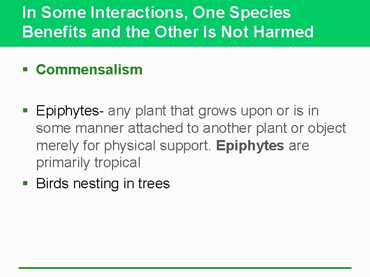 In Some Interactions, One Species Benefits and the Other Is Not Harmed § Commensalism