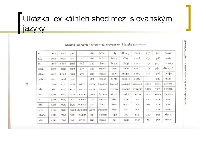 Ukázka lexikálních shod mezi slovanskými jazyky 
