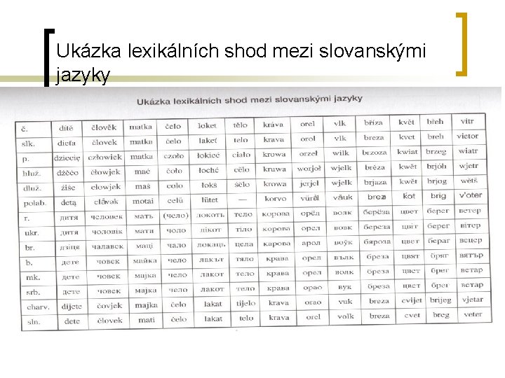 Ukázka lexikálních shod mezi slovanskými jazyky 