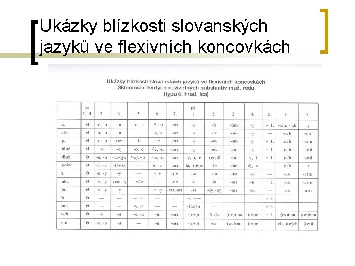 Ukázky blízkosti slovanských jazyků ve flexivních koncovkách 