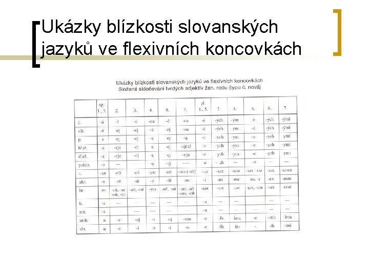 Ukázky blízkosti slovanských jazyků ve flexivních koncovkách 