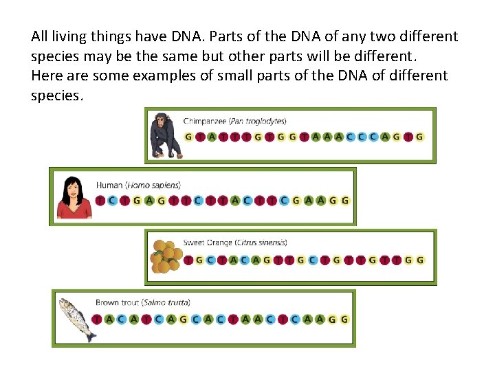 All living things have DNA. Parts of the DNA of any two different species