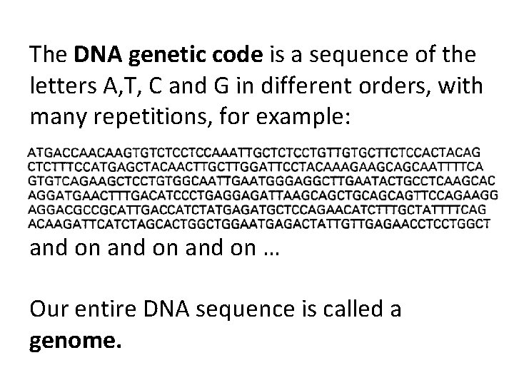 The DNA genetic code is a sequence of the letters A, T, C and