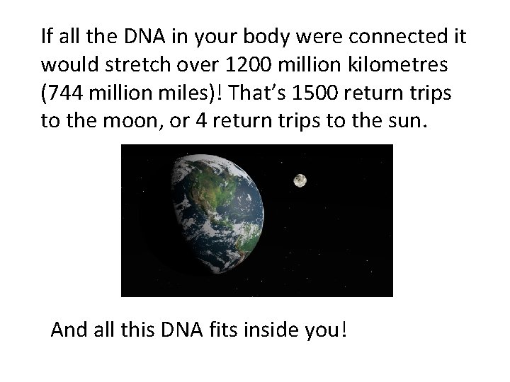If all the DNA in your body were connected it would stretch over 1200