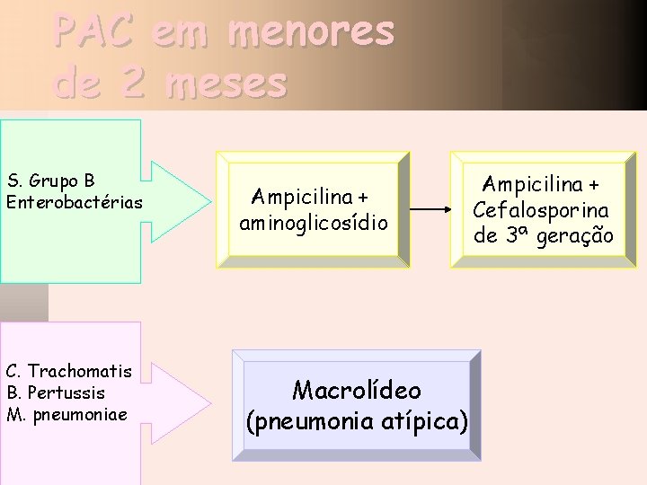 PAC em menores de 2 meses S. Grupo B Enterobactérias C. Trachomatis B. Pertussis