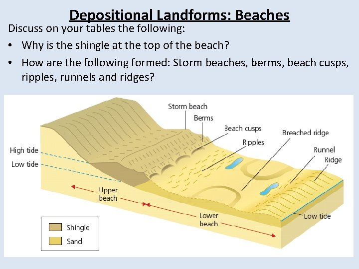 Depositional Landforms: Beaches Discuss on your tables the following: • Why is the shingle