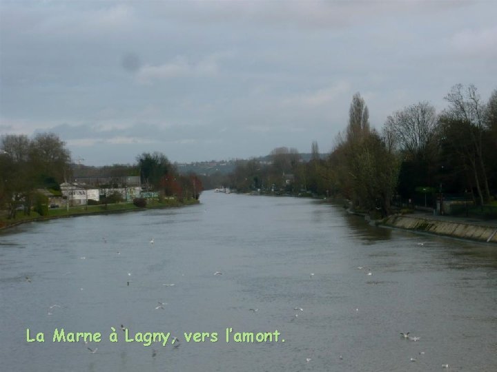 La Marne à Lagny, vers l’amont. 