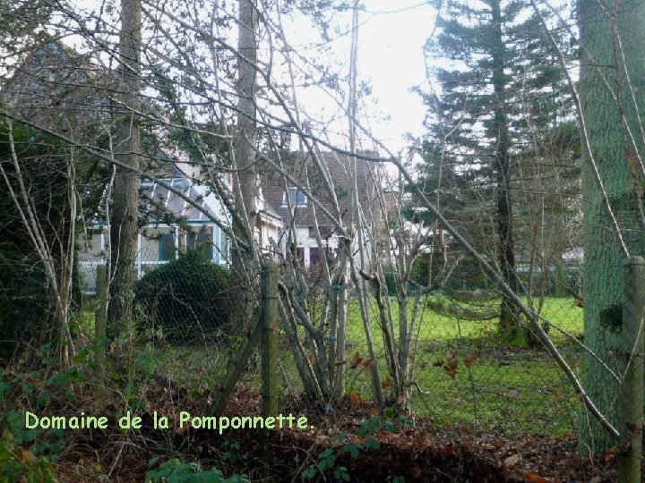Domaine de la Pomponnette. 