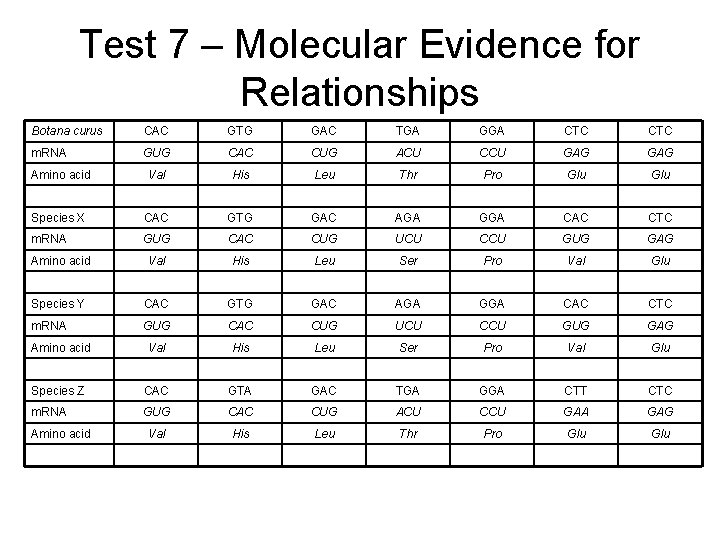 Test 7 – Molecular Evidence for Relationships Botana curus CAC GTG GAC TGA GGA