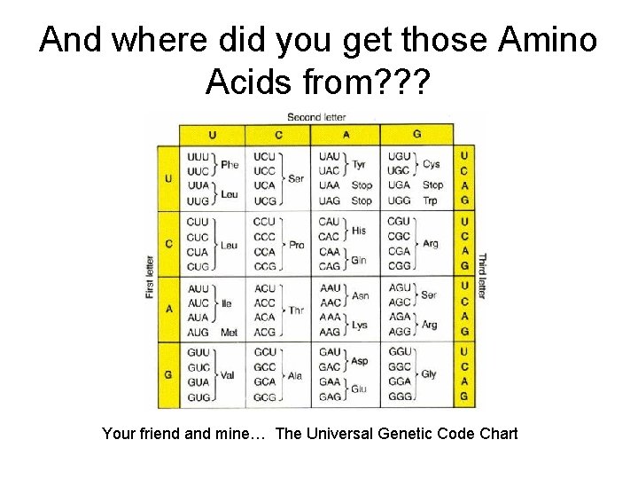 And where did you get those Amino Acids from? ? ? Your friend and