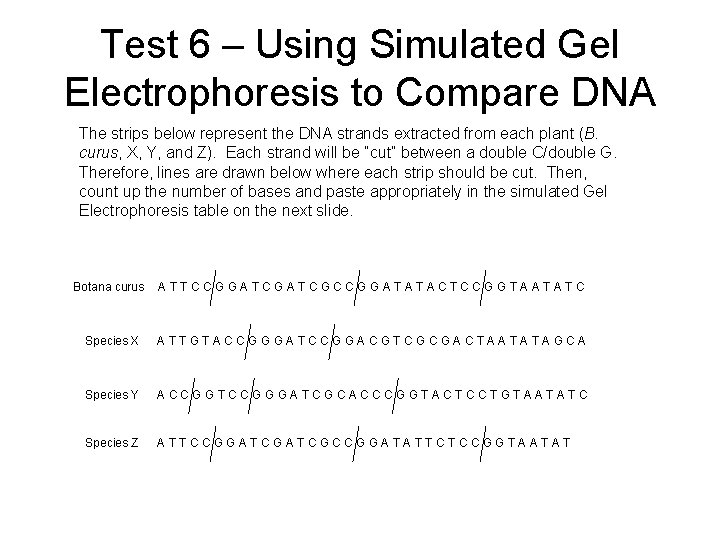 Test 6 – Using Simulated Gel Electrophoresis to Compare DNA The strips below represent