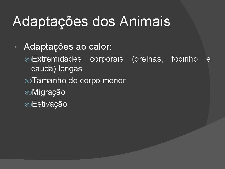 Adaptações dos Animais Adaptações ao calor: Extremidades corporais cauda) longas Tamanho do corpo menor