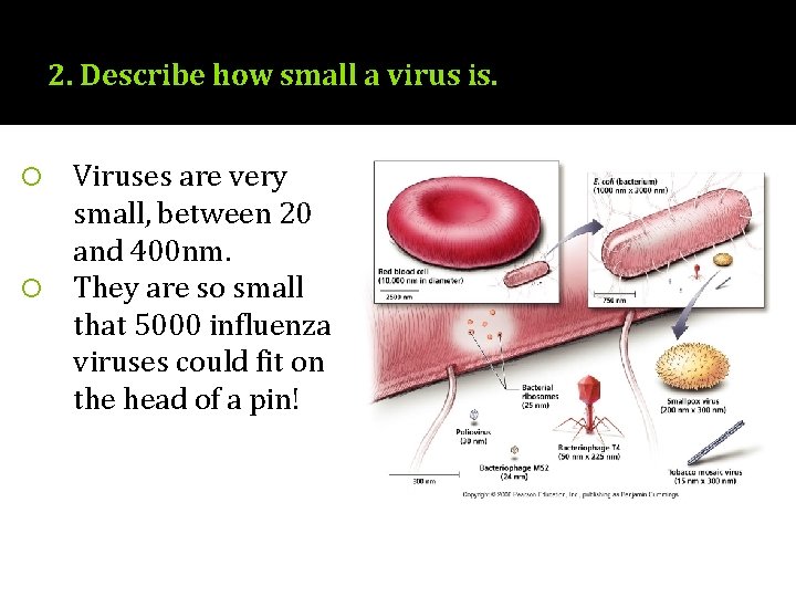 2. Describe how small a virus is. Viruses are very small, between 20 and