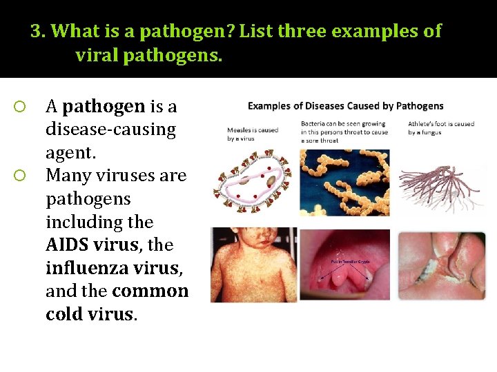 3. What is a pathogen? List three examples of viral pathogens. A pathogen is