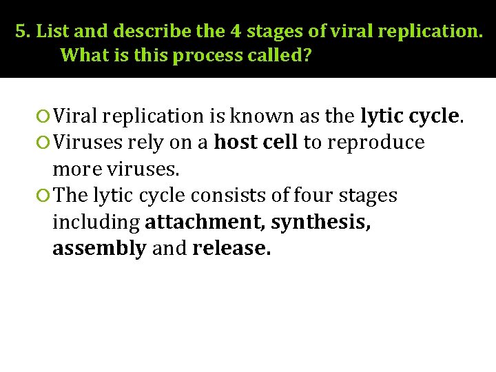 5. List and describe the 4 stages of viral replication. What is this process