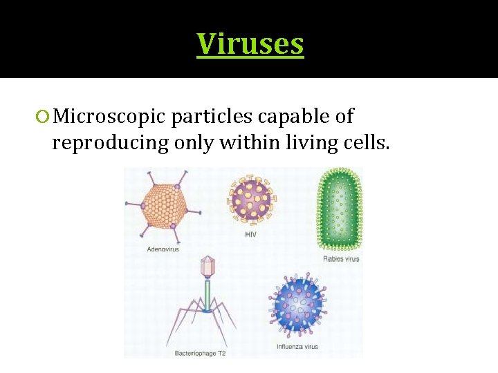 Viruses Microscopic particles capable of reproducing only within living cells. 
