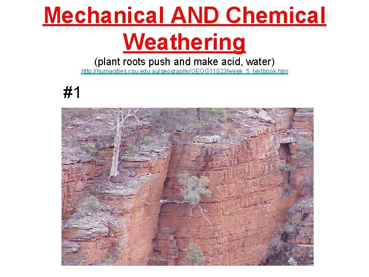 Mechanical AND Chemical Weathering (plant roots push and make acid, water) http: //humanities. cqu.