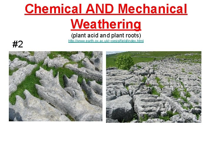 Chemical AND Mechanical Weathering (plant acid and plant roots) #2 http: //www. earth. ox.