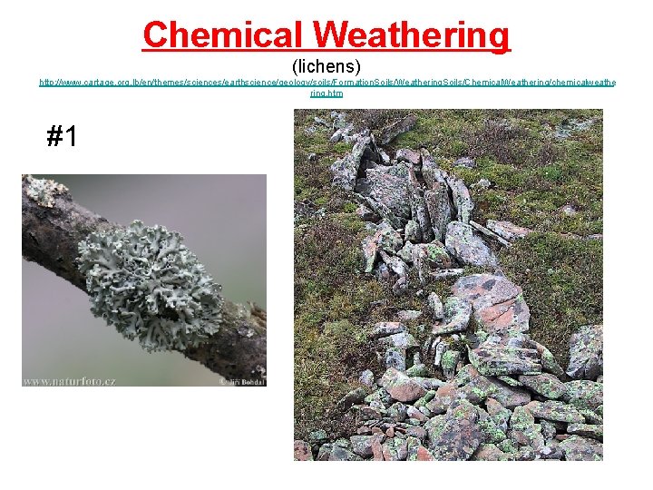 Chemical Weathering (lichens) http: //www. cartage. org. lb/en/themes/sciences/earthscience/geology/soils/Formation. Soils/Weathering. Soils/Chemical. Weathering/chemicalweathe ring. htm #1