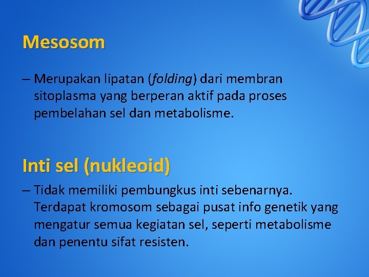 Mesosom – Merupakan lipatan (folding) dari membran sitoplasma yang berperan aktif pada proses pembelahan