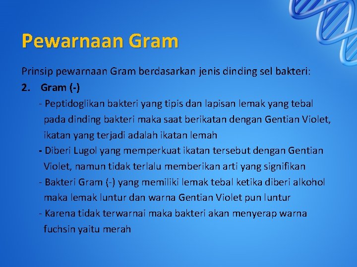 Pewarnaan Gram Prinsip pewarnaan Gram berdasarkan jenis dinding sel bakteri: 2. Gram (-) -