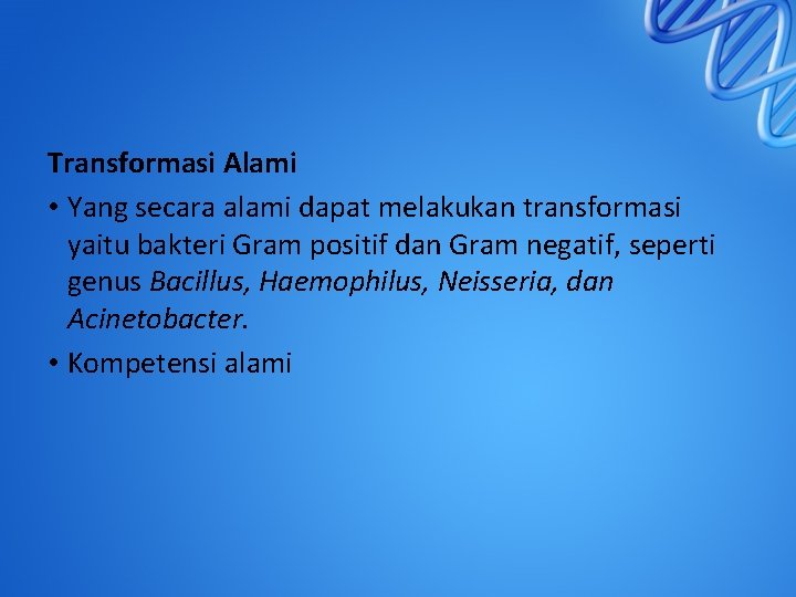 Transformasi Alami • Yang secara alami dapat melakukan transformasi yaitu bakteri Gram positif dan