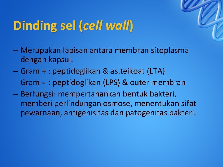 Dinding sel (cell wall) – Merupakan lapisan antara membran sitoplasma dengan kapsul. – Gram